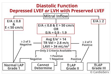 ase diastolic function chart.